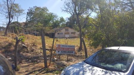 Anuar Donato Lote / Terreno para aluguel Juliana: 